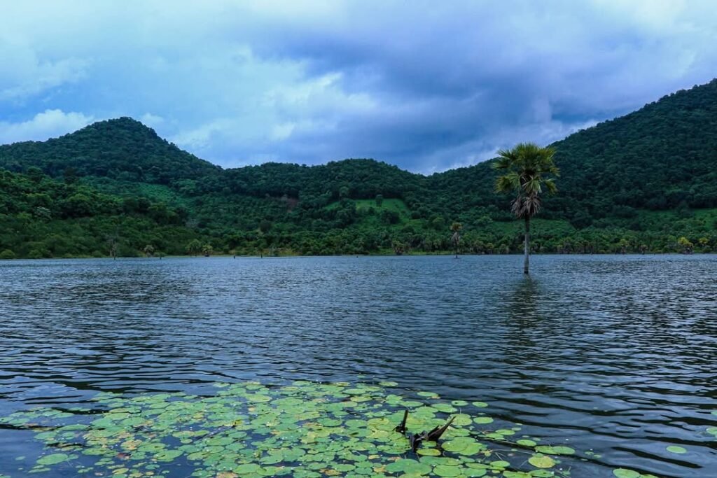 Bhupathipalem Reservoir tips