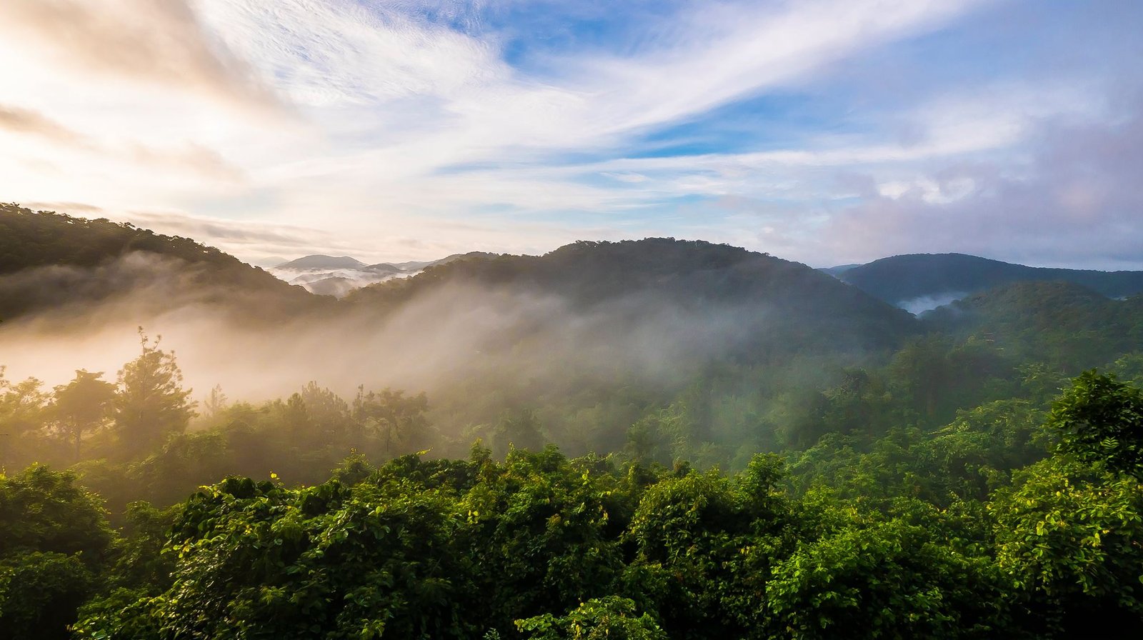 Manyam View Point